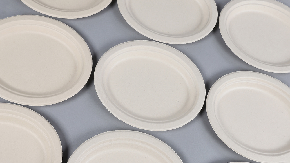 紙漿模塑 紙漿模塑