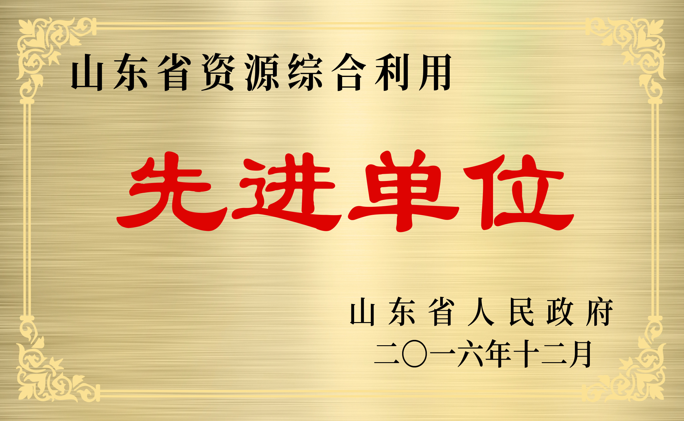 山東省資源綜合利用先進(jìn)單位