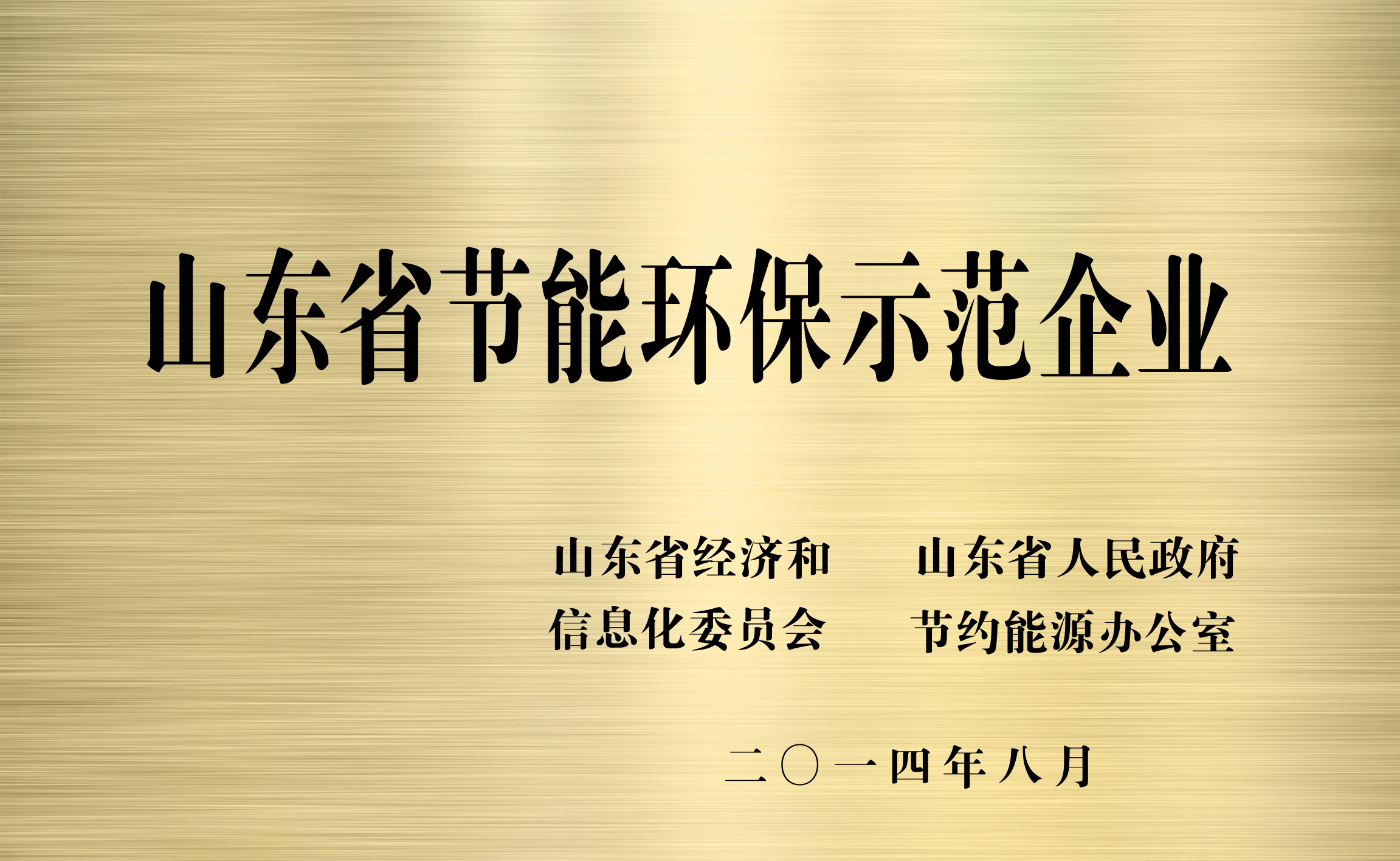 山東省節能(néng)環保示範企業