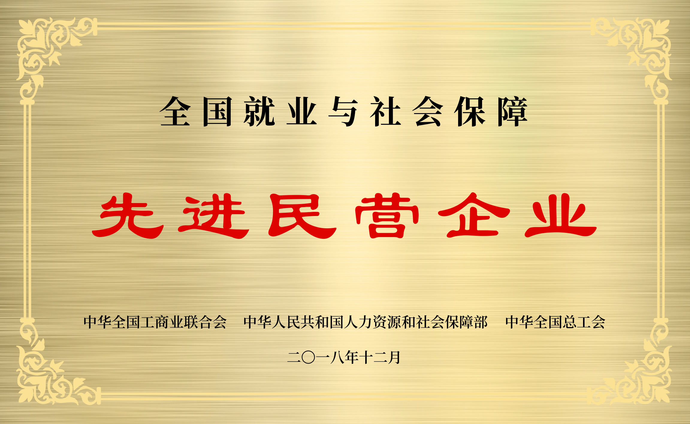 全國(guó)就(jiù)業與社會(huì)保障先進(jìn)民營企業